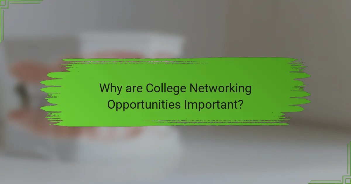 Why are College Networking Opportunities Important?